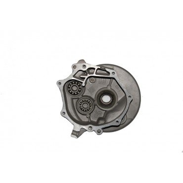 Arora Special 125  Di̇fransi̇yel Di̇şli̇ Kapaği