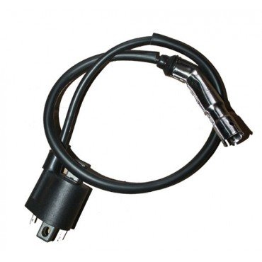 Arora AR100T-2A Special Ateşleme Bobini Euro 5